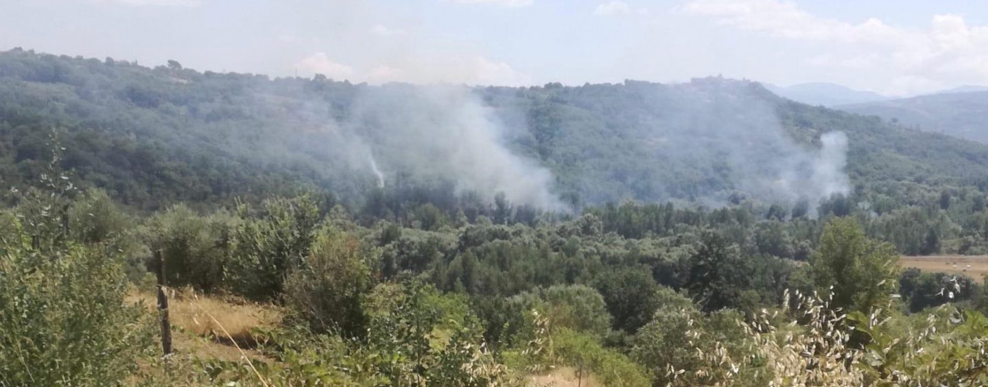 Quattro incendi in Irpinia: roghi a Pietrastornina, Torre le Nocelle, Lapio e Taurasi