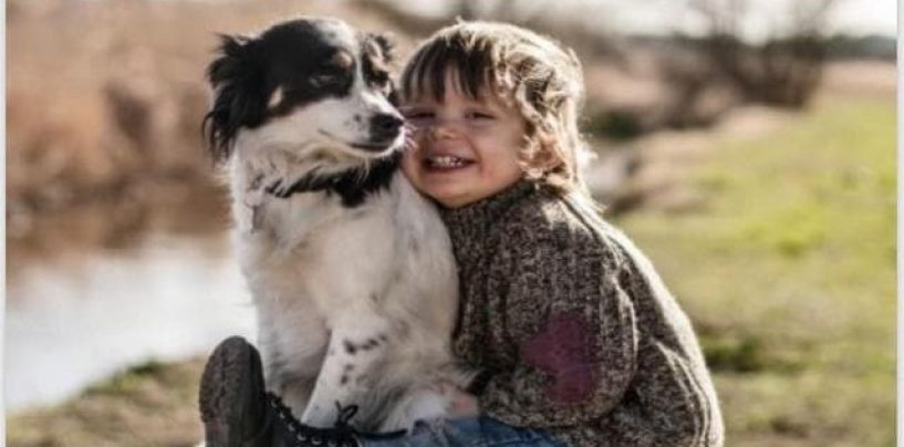 Microchip gratuiti ai propri cani, appuntamento venerdì a Grottolella