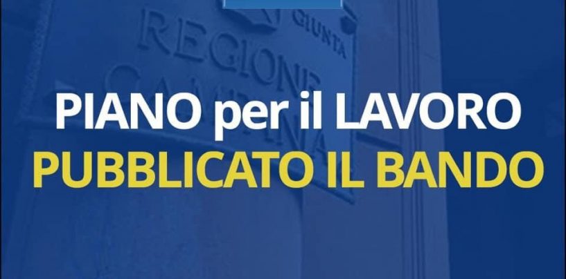 Pubblicato il Bando per il Piano Lavoro: poco più di 2.000 i posti a concorso, il resto l’anno prossimo