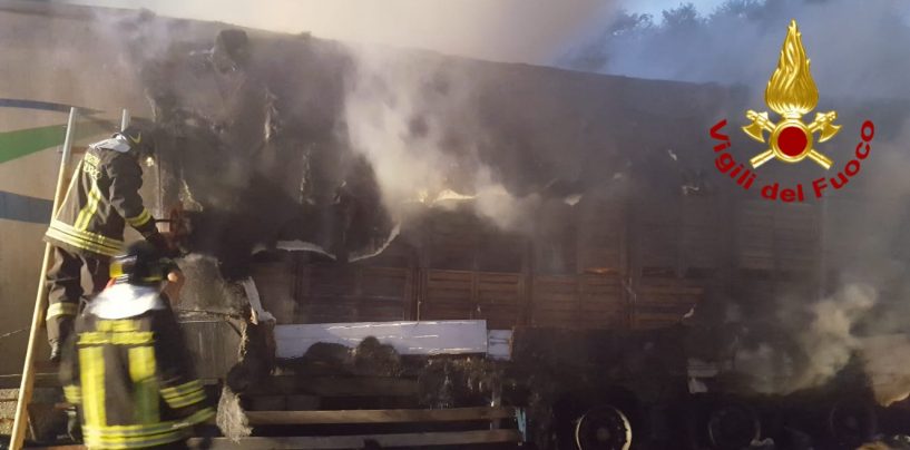 A16 in tilt: camion di pomodori diretto in Puglia prende fuoco
