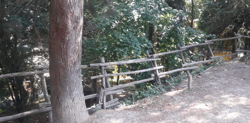 Giornate ecologiche ad Ariano, l’assessore Grasso pensa al boschetto: “Va riconsegnato ai cittadini”