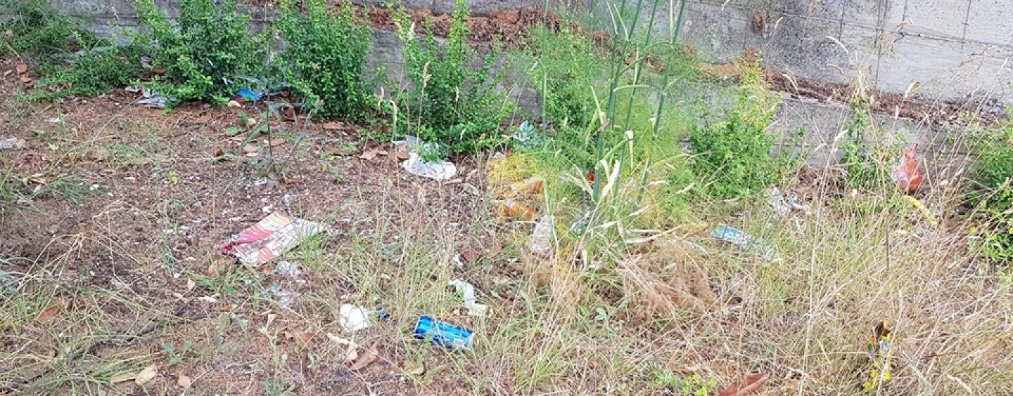 Giornata ecologica ad Ariano, dall’amministrazione il monito: “Ripuliamo insieme la città”