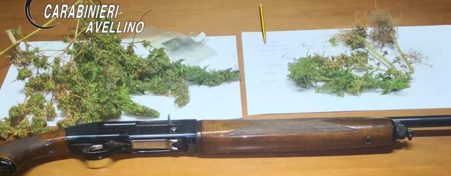 Marijuana e fucile in casa, 30enne di Summonte ed un suo familiare finiscono nei guai