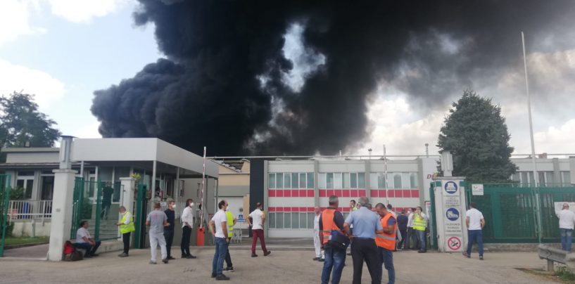 “Vietato il consumo di frutta e verdura”. Incendio, ecco le prescizioni Asl per nove comuni irpini