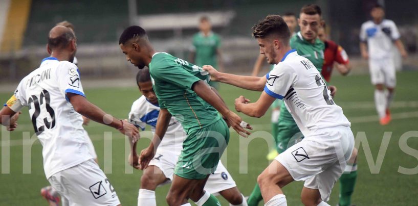 Avellino, è già tempo di riscatto: Ignoffo valuta turnover e due punte