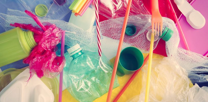 Scuola “Plastic free” a Montoro: borracce personalizzate per i bambini