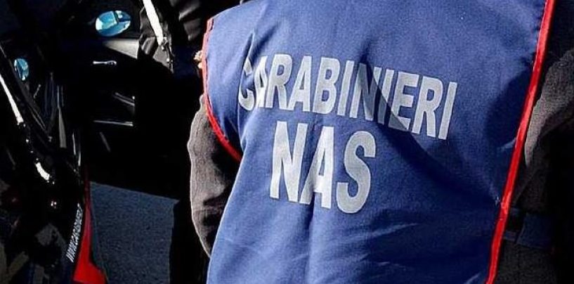 N.A.S. in azione in Irpinia: sequestrati alimenti per assenza di tracciabilità