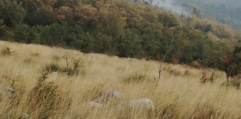Ancora incendi in Irpinia, fiamme a Mugnano del Cardinale