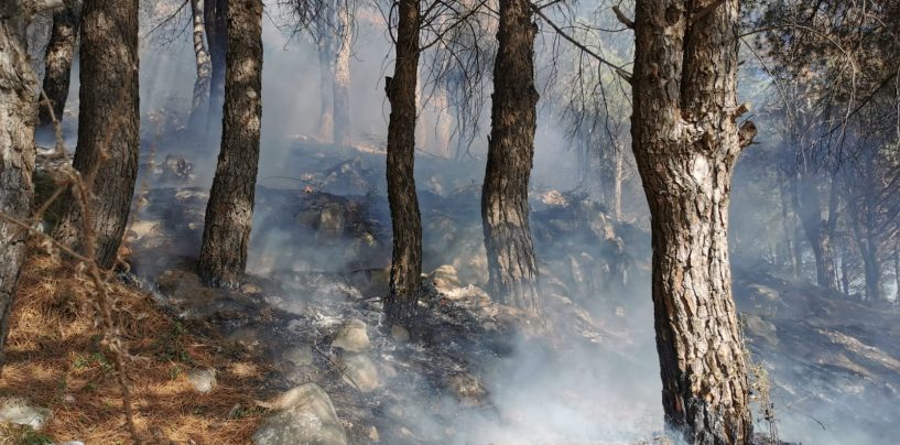 Ancora incendi in Irpinia: fiamme ad Avella