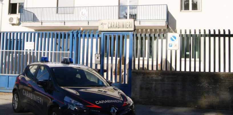 Travolto dal trattore, dramma a Monteverde: muore un 13enne
