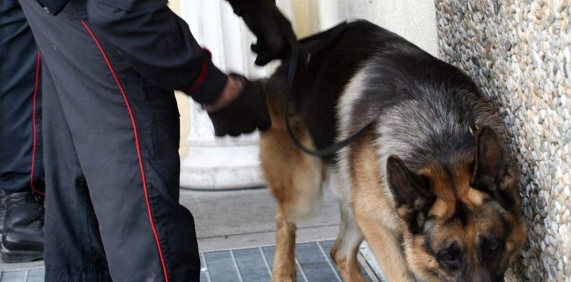 Blitz antidroga dei carabinieri in una scuola di Cervinara