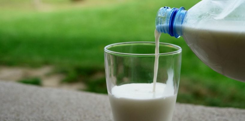 Latte contaminato in Germania. Scatta l’allerta nella UE