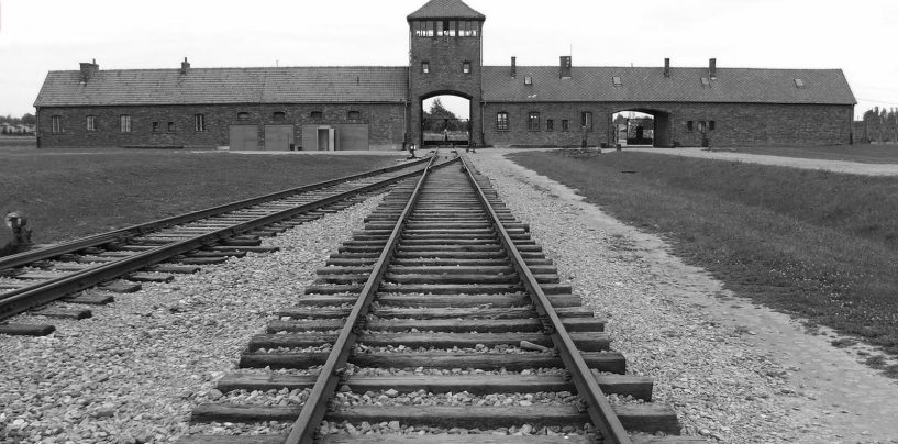 “Ciò che resta della memoria”, la follia nazista nelle foto degli alunni del “Mancini”
