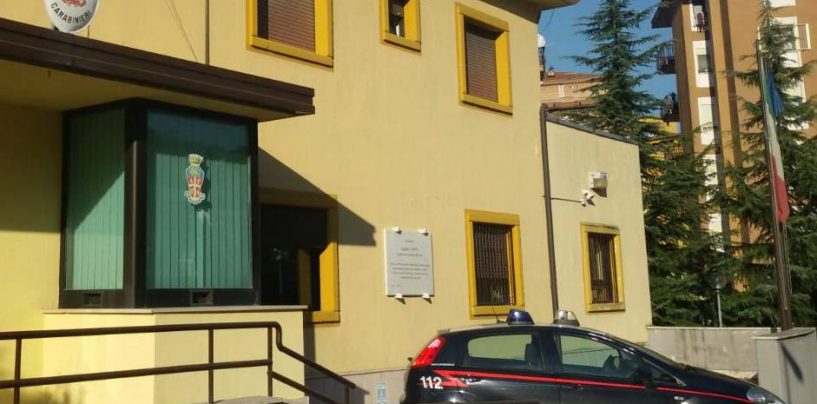 Rubavano alimenti, bevande alcoliche e misuratori per la pressione, denunciati due giovani