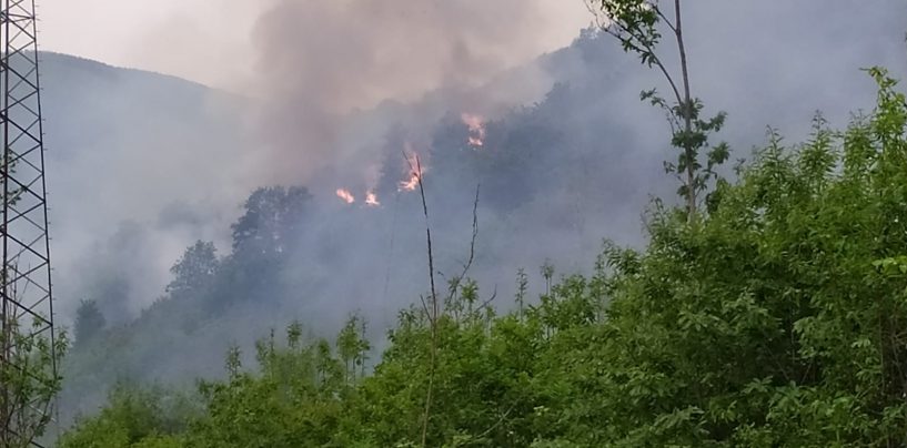 FOTO / Montoro, in fiamme 10 ettari di vegetazione: due canadair in azione