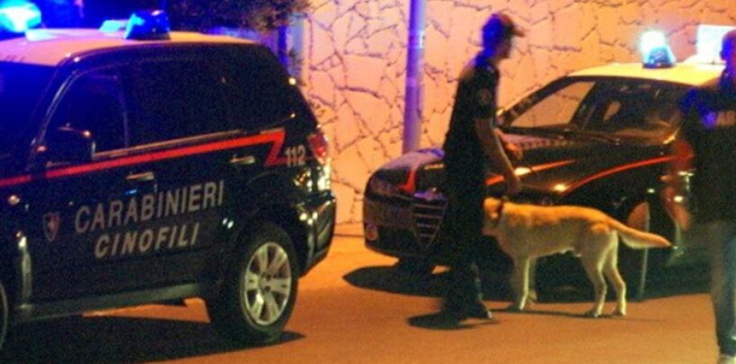 Lotta alla droga, controlli con le unità cinofile in Irpinia: segnalati tre assuntori