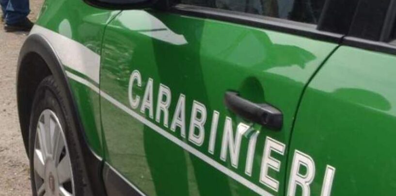 Controlli nel Vallo del Lauro,denunce dei carabinieri per combustione di rifiuti vegetali