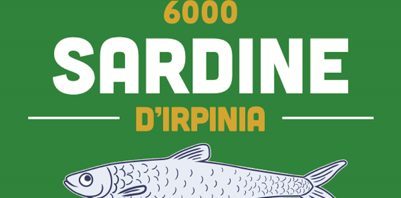 L’Irpinia verso le Regionali, meno selfie più politica: le richieste delle Sardine ai candidati irpini