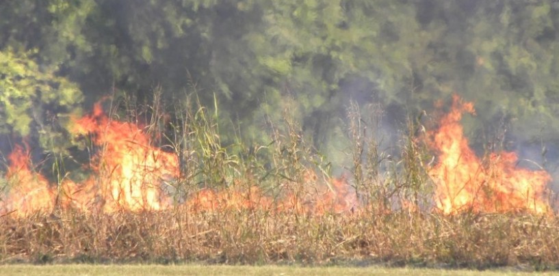 Appicca un rogo e rischia di estenderlo ad un’intera area boscata, nei guai un anziano