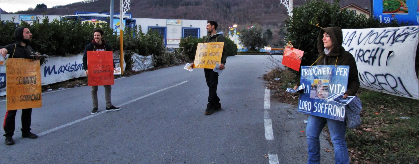 “Animali imprigionati e manifesti abusivi”, attivisti irpini contro il Circo a Monteforte