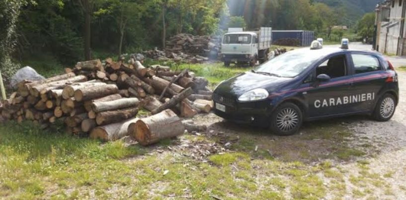 Ruba dieci quintali di legna da un fondo non di sua proprietà: scatta la denuncia