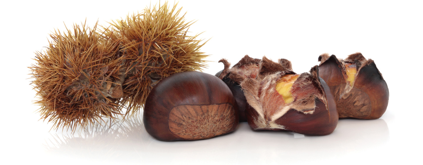 Castagne d’Irpinia: qualità e tipicità di prodotti d’eccellenza, da quella di Montella a quella di Serino