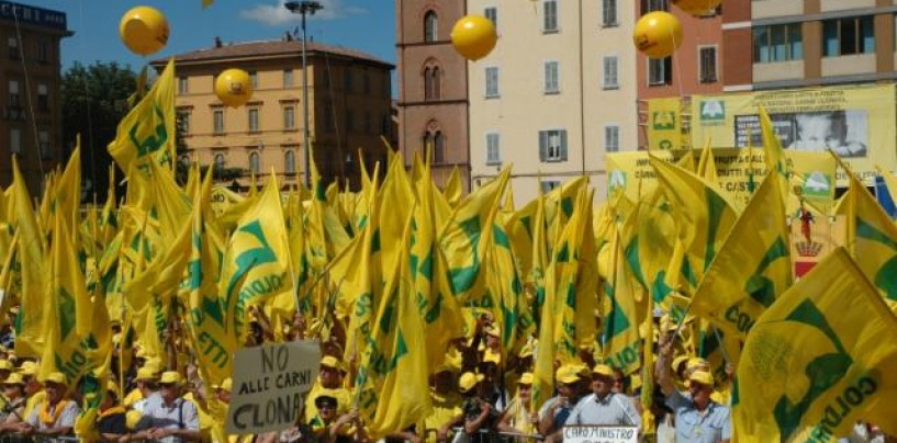 L’allarme di Coldiretti: “Agricoltura in sofferenza con il caldo africano”