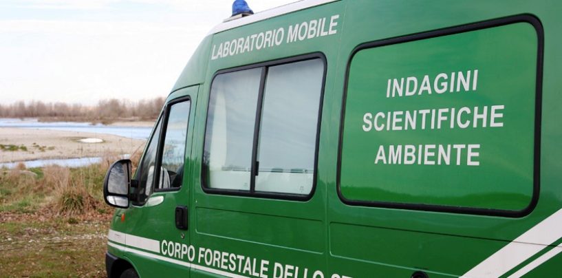 Livelli di tossicità acuti: sequestrato il depuratore di Ospedaletto