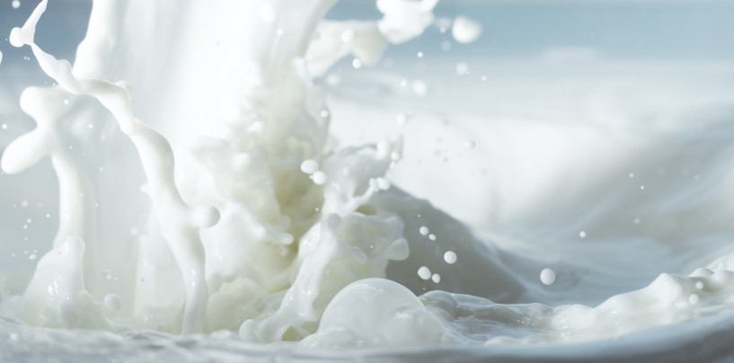 Latte contaminato in 83 Paesi, è allarme sanitario. Almeno 37 i bambini colpiti finora