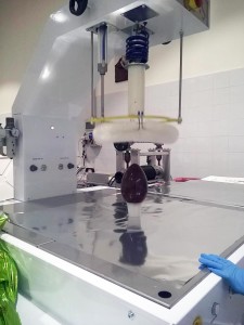 Una delle fasi di produzione delle uova di Di Iorio
