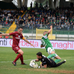 Avellino Trapani