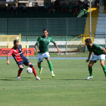 cosenza