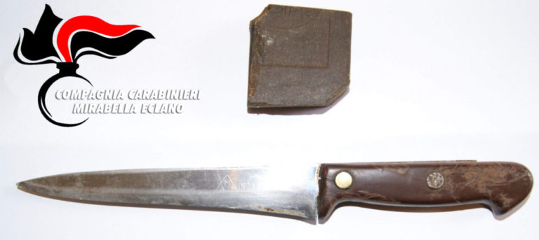 Il cane Rex fiuta la droga e incastra lo spacciatore, sequestrati anche due coltelli