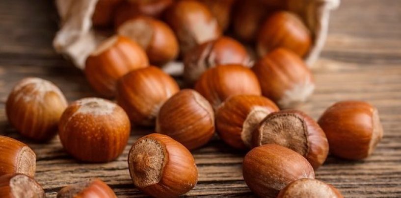 Solo nocciole irpine nei prodotti Ferrero: ecco il progetto di filiera