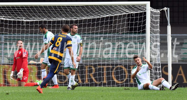 Verona, i convocati di Pecchia per la trasferta di Avellino