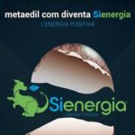 sienergia-banner