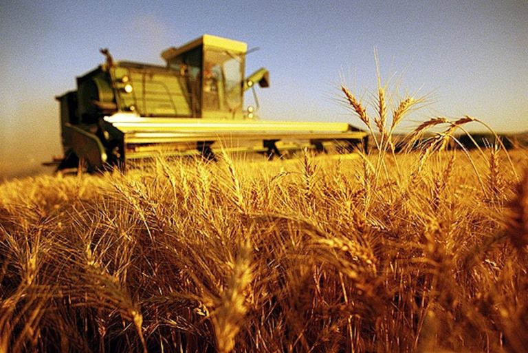 Agricoltura: “Quale futuro per l’Irpinia. Una rete a difesa dei nostri prodotti”