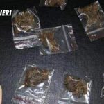droga-montoro
