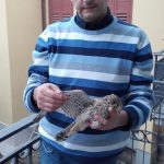gheppio-2