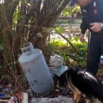 carabinieri-droga-taurasi