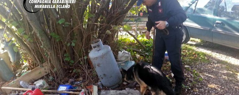 carabinieri-droga-taurasi
