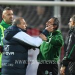 carpi-avellino-castori