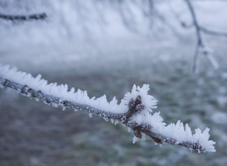 Irpinia sotto zero: temperature basse e rischio gelate in tutta la provincia