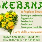ikebana-lioni-banner