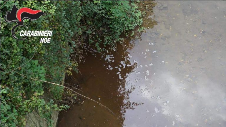 FOTO/ Avellino – Sequestrata industria di conserve alimentari
