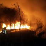 incendio boschivo fiamme