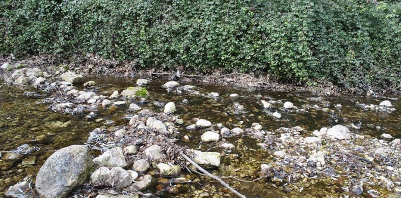 Emergenza ambiente: appello ai candidati sindaco di Avellino