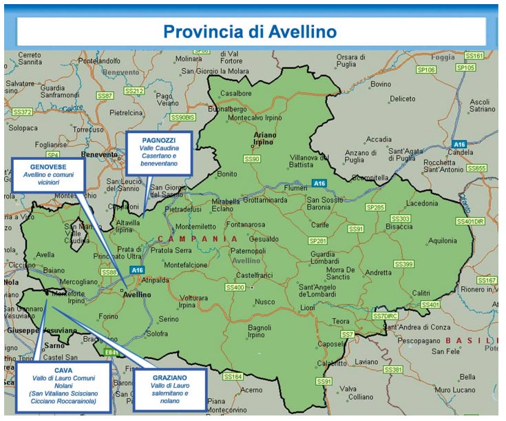 Dia-avellino