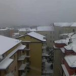 neve avellino