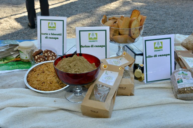 “Canapamania”, Coldiretti: “Avvio legge nazionale rafforza proposta Regione Campania”